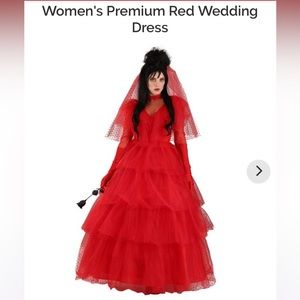 Lydia Deetz Bettlejuice Costume